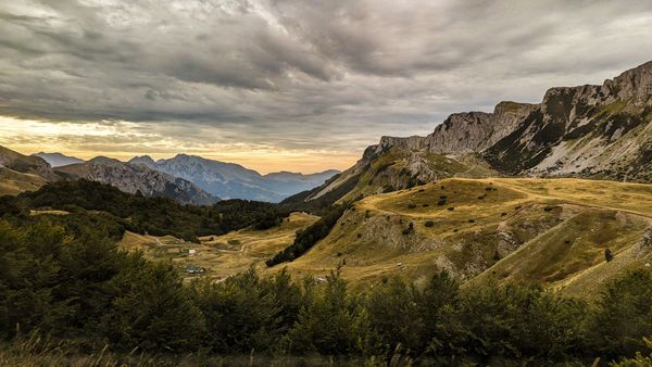 Portret Lascu Mihail