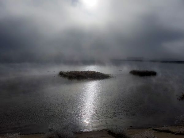 Portret Lascu Mihail