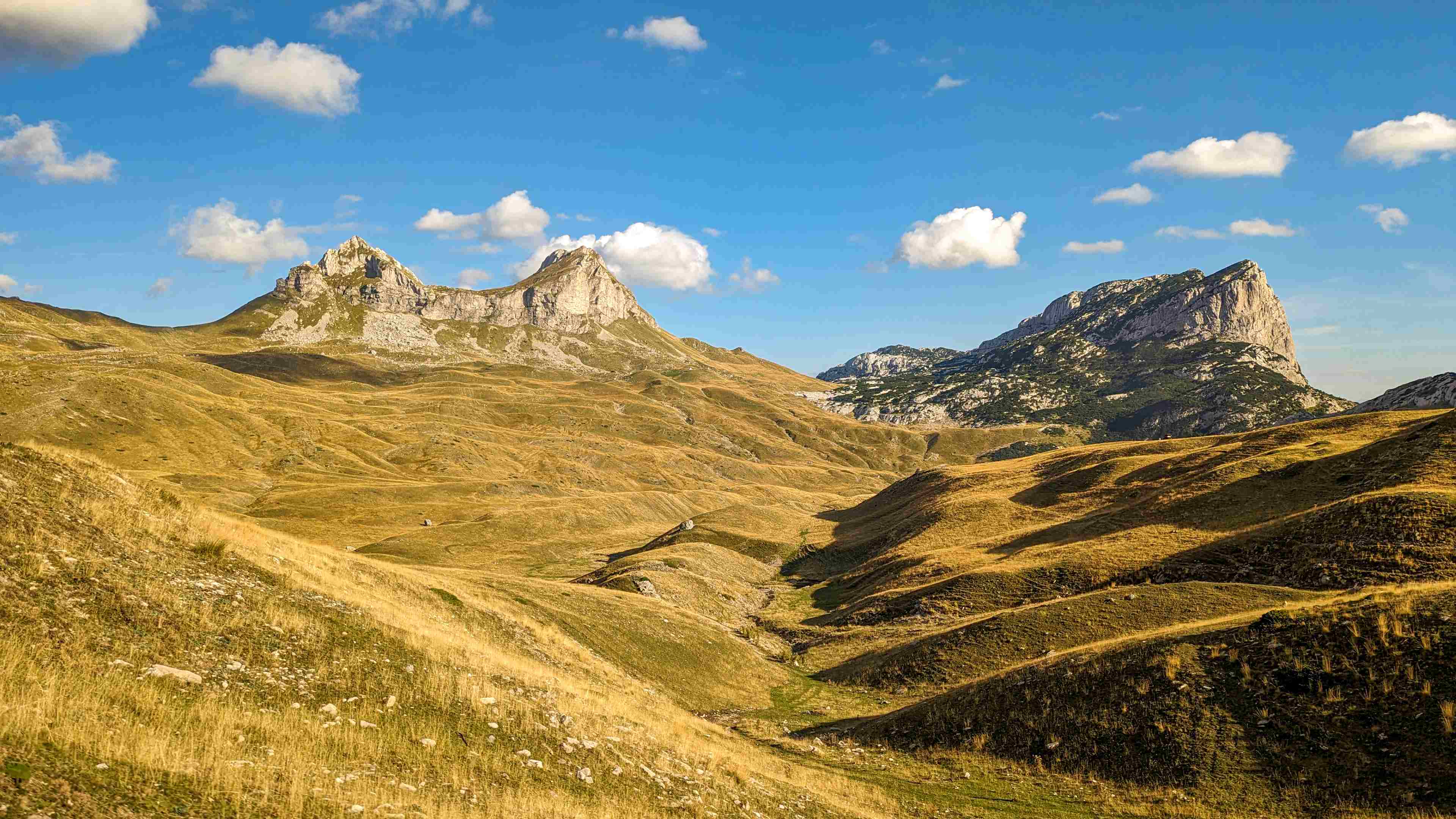 Portret Lascu Mihail