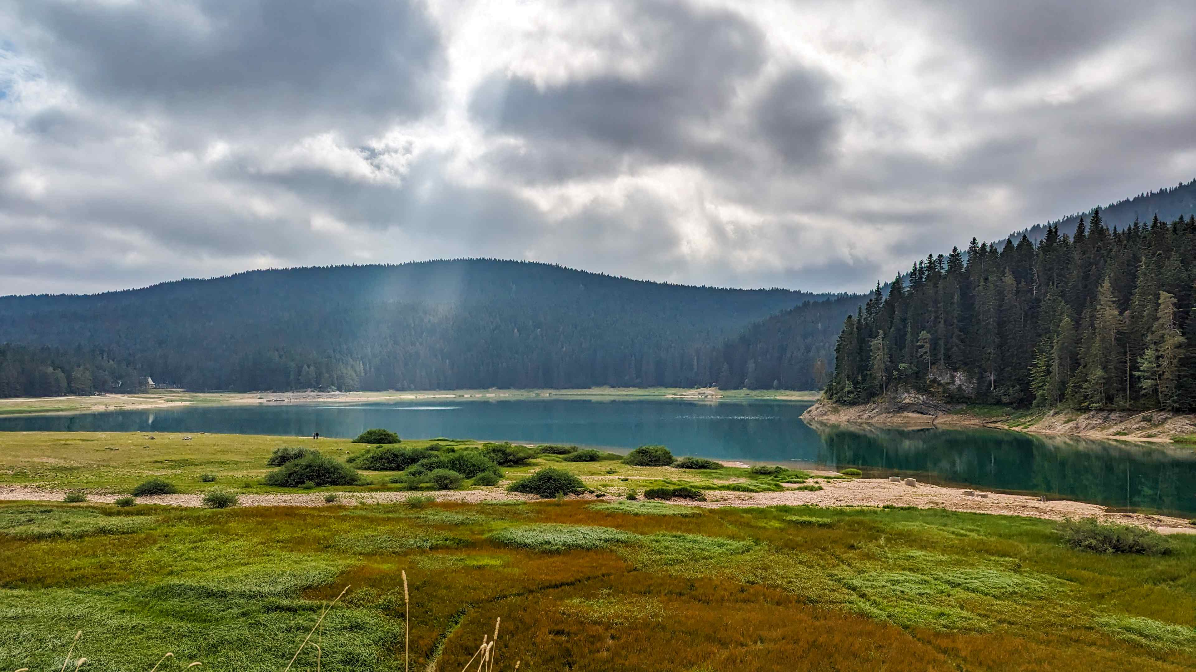 Portret Lascu Mihail