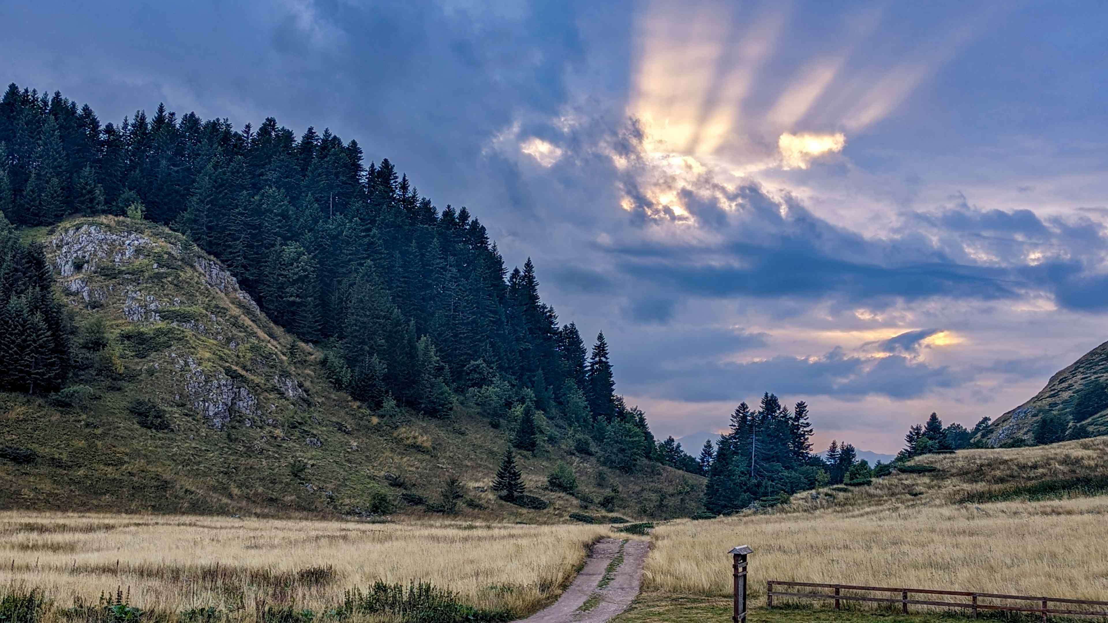 Portret Lascu Mihail