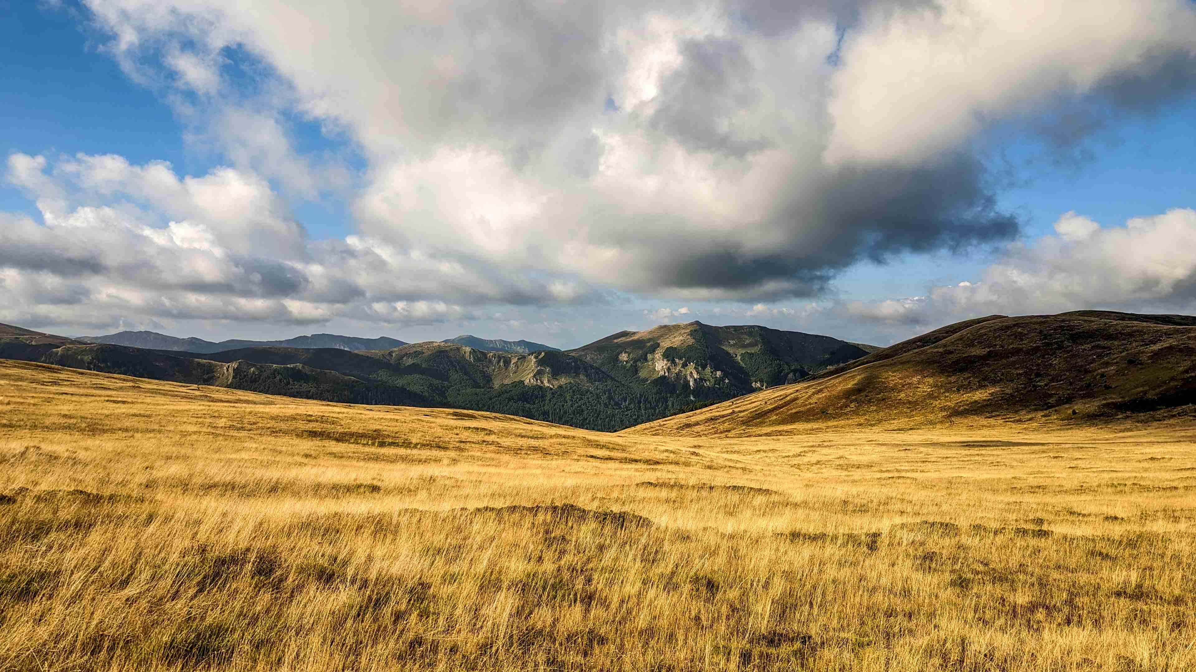 Portret Lascu Mihail