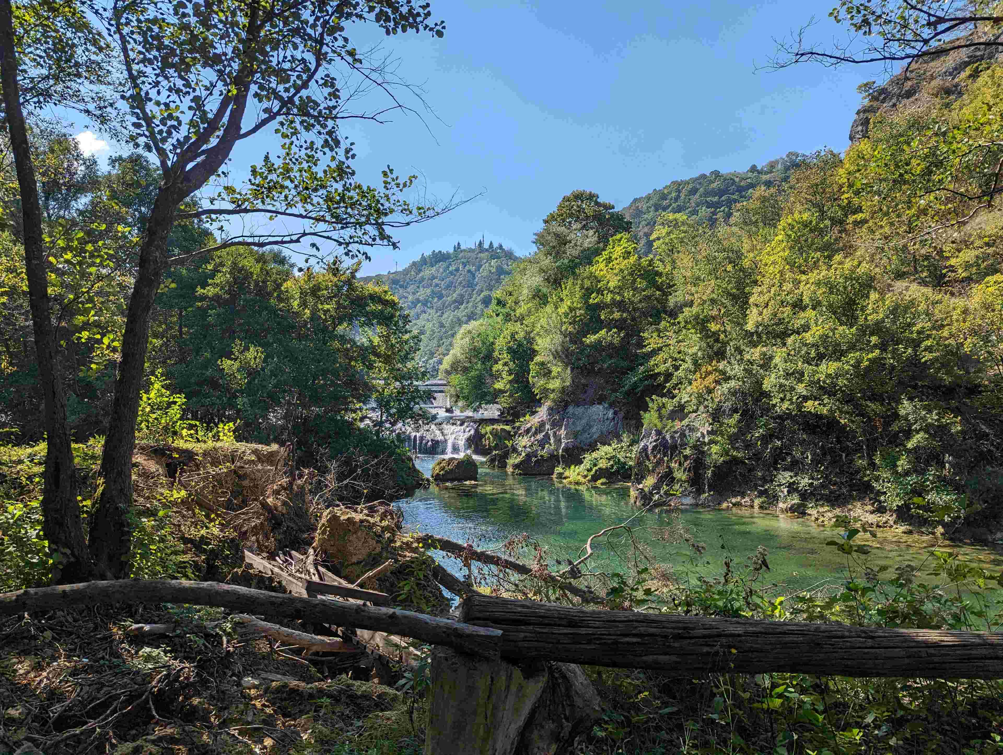 Portret Lascu Mihail