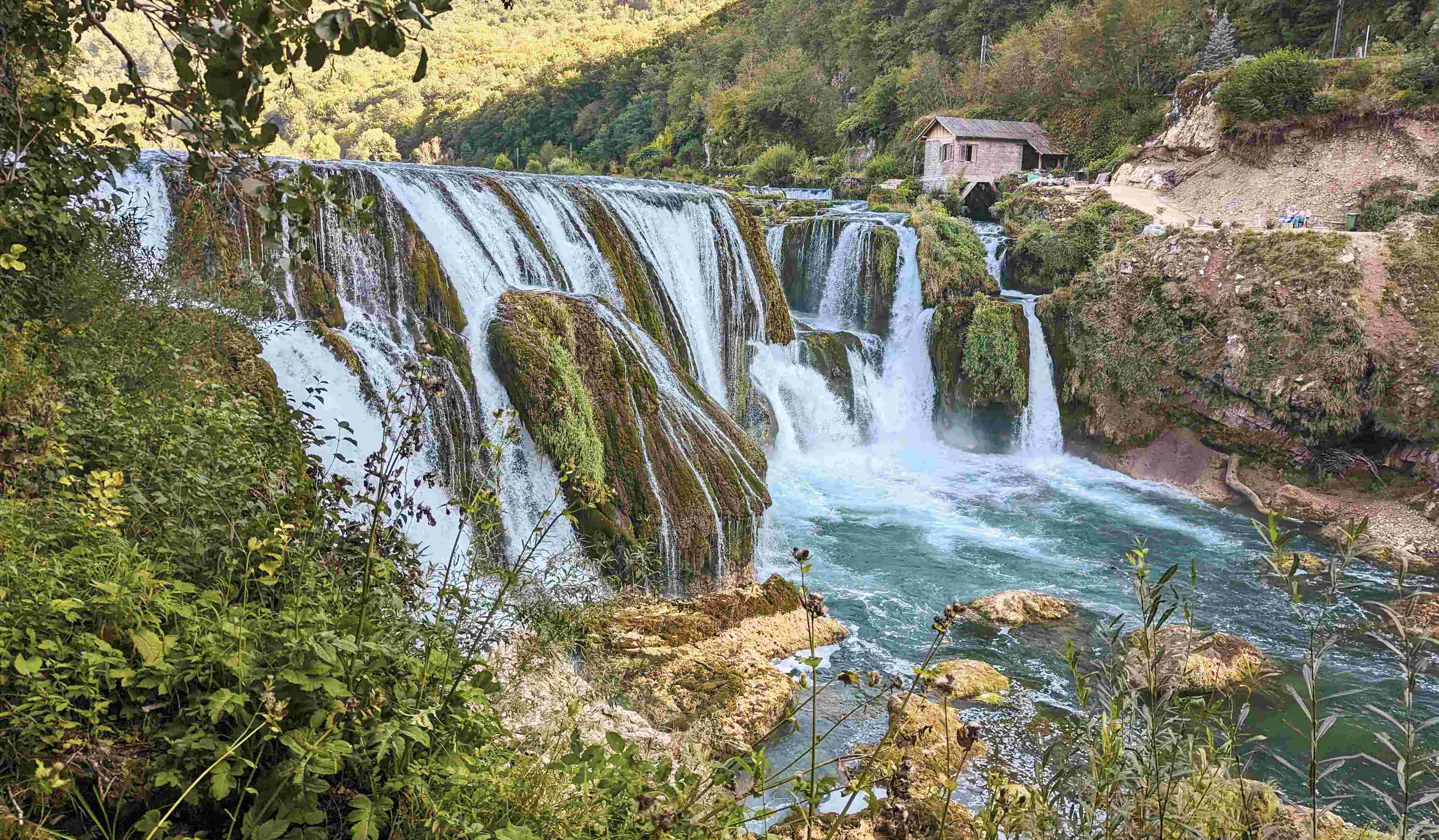 Portret Lascu Mihail