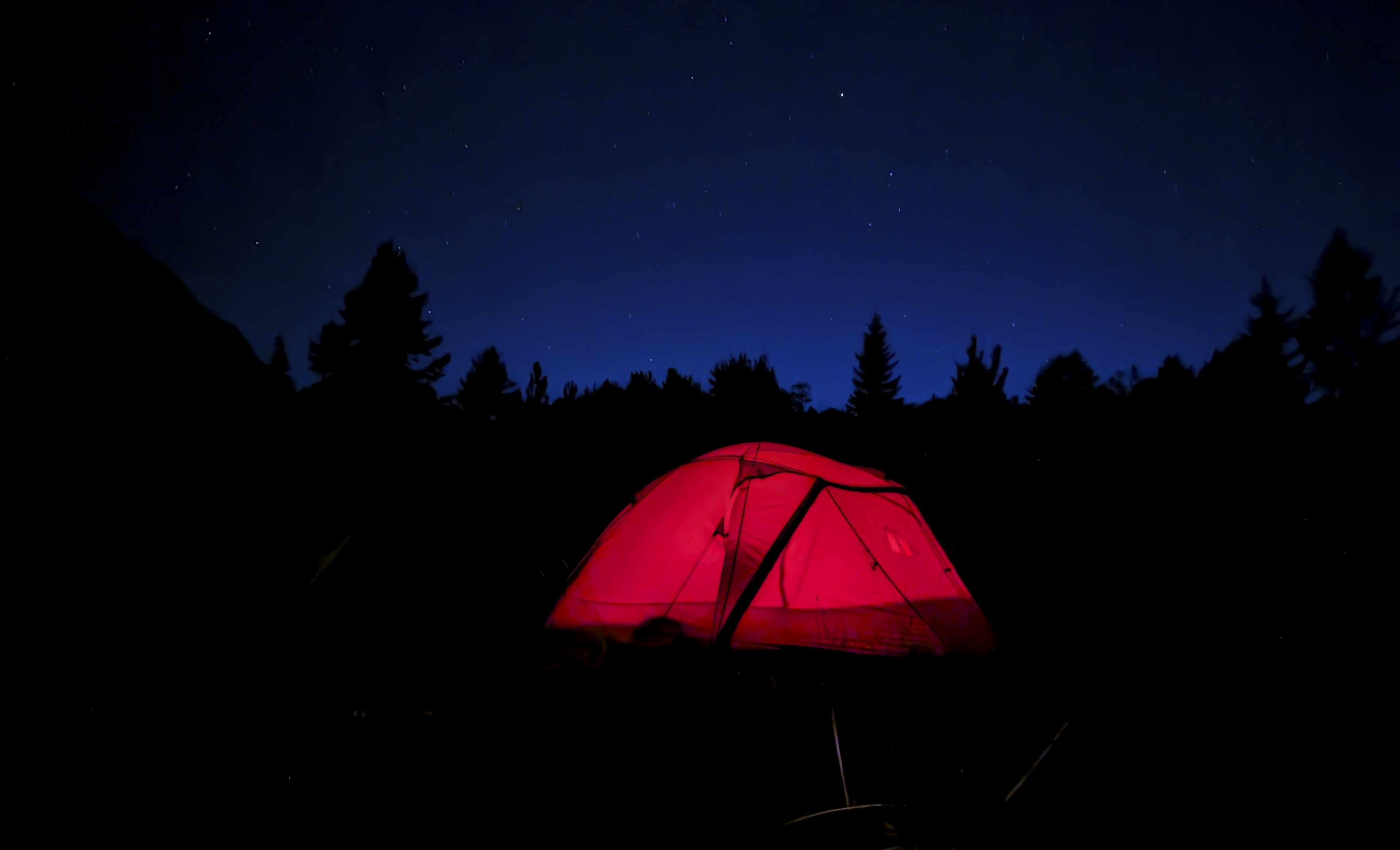 Portret Lascu Mihail