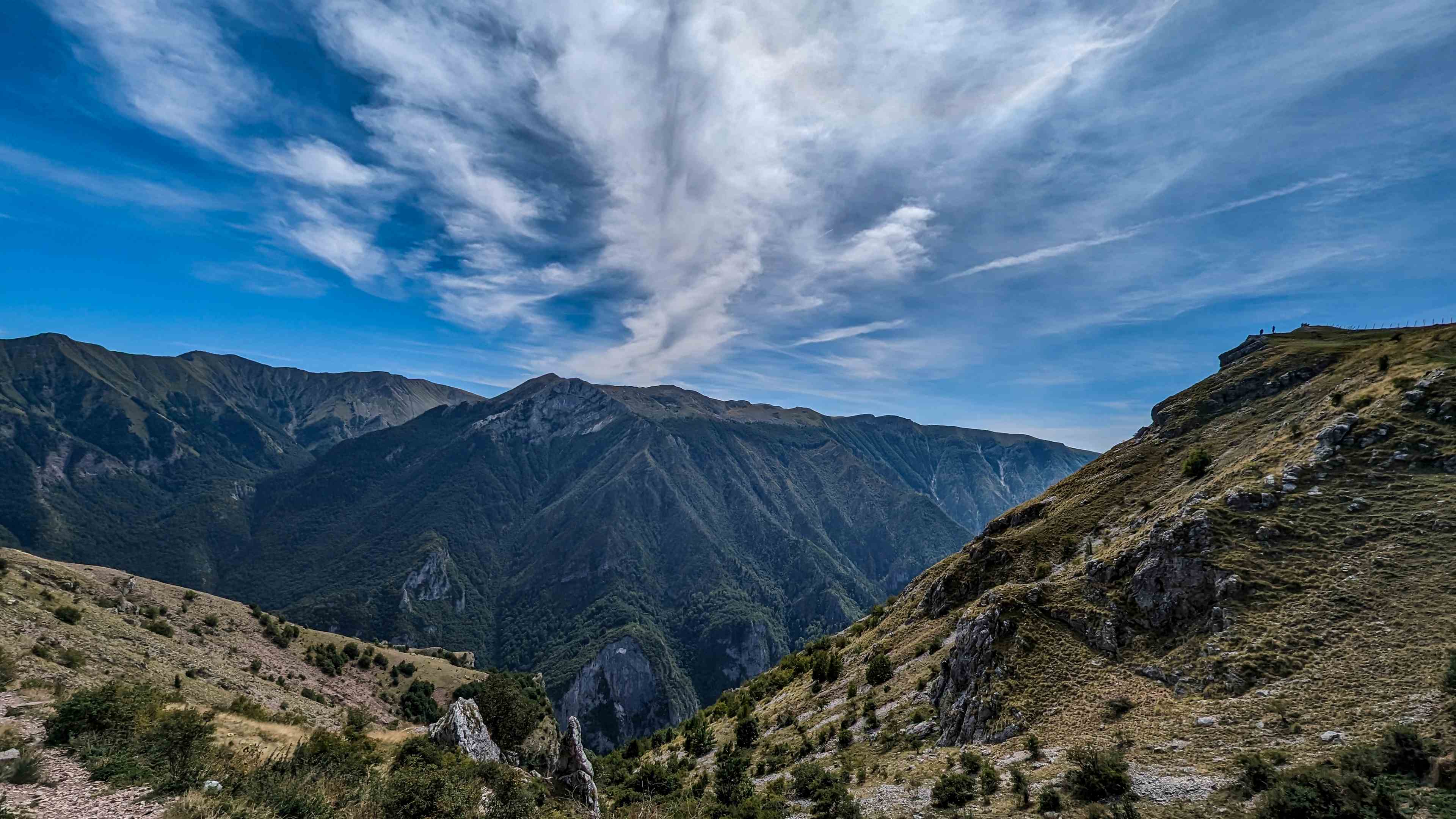 Portret Lascu Mihail