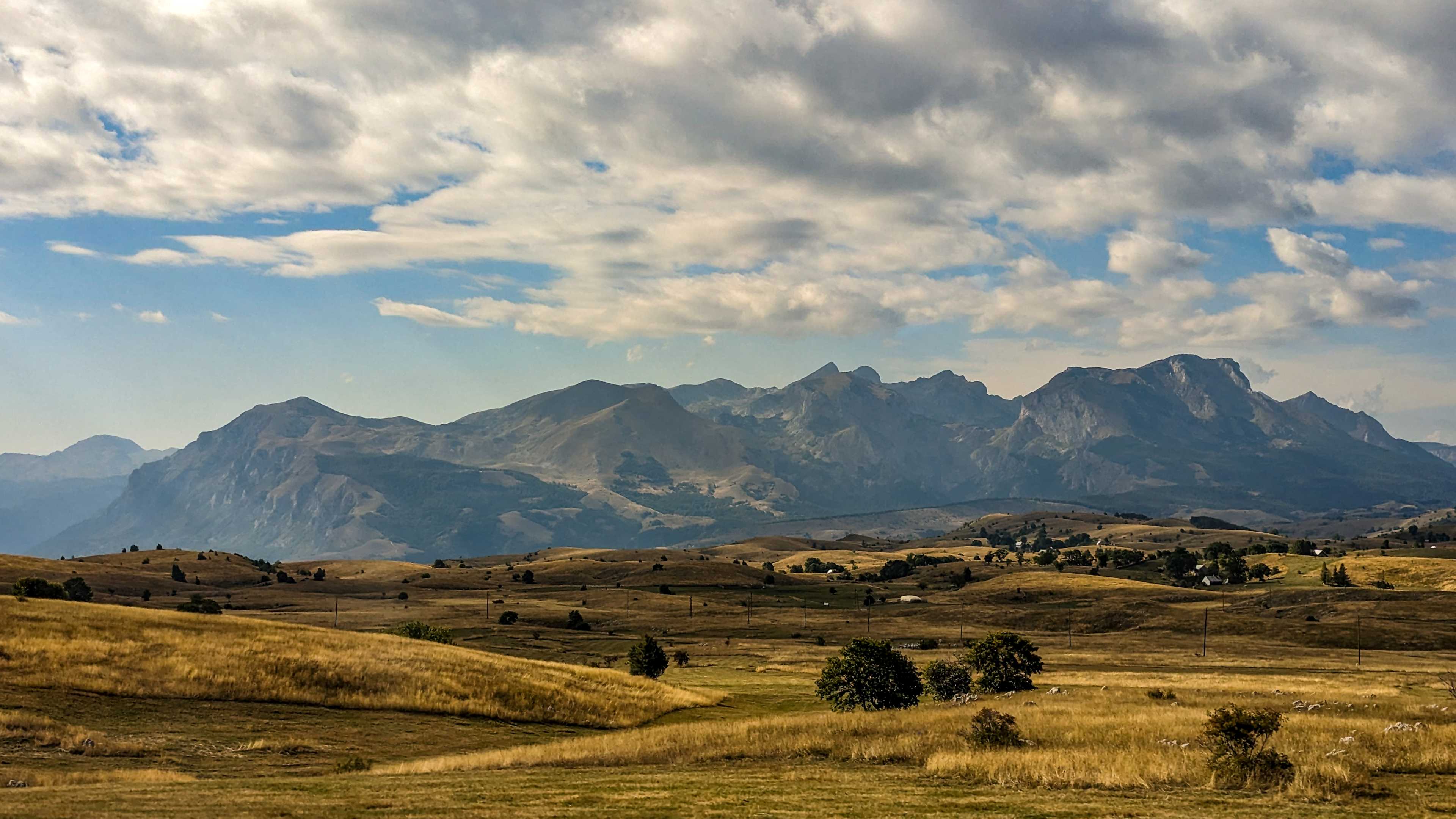 Portret Lascu Mihail